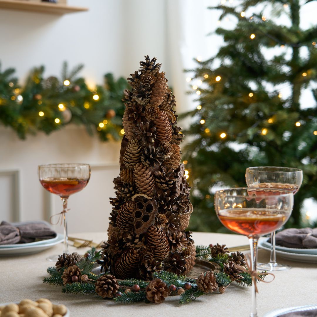 Pinea Zapfenbaum